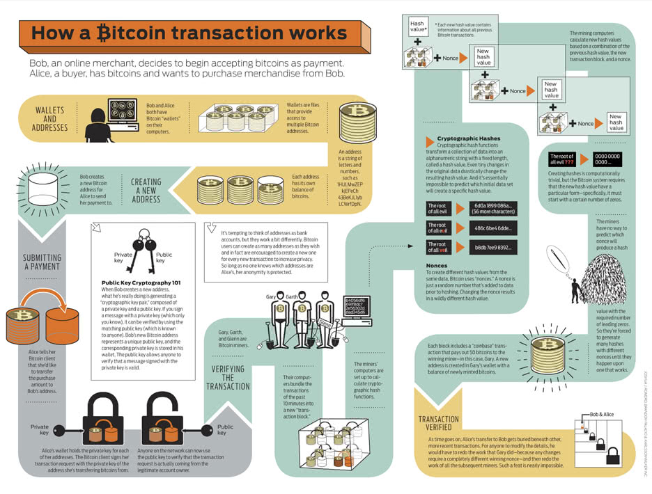 bitcoin-infographic