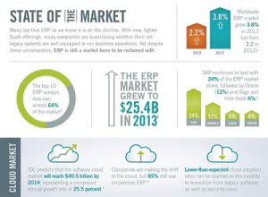 Infographic Data Visualization ERP